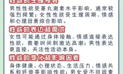双人房男女荷尔蒙爆发的原因解析：揭示情境背后的科学密码