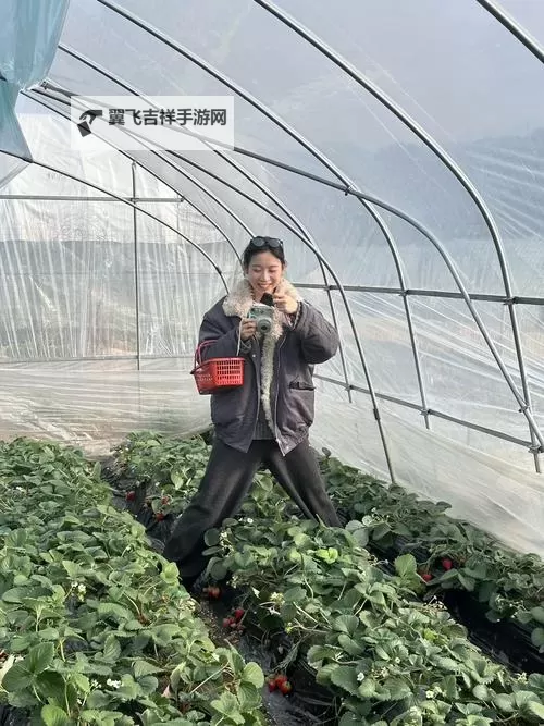 草莓视频在线无限免费观看：领略藏族文化的精彩瞬间图1