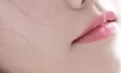 探索亚洲最新合集：畅享多元文化的精彩汇聚