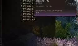 《博德之门3》巨人投掷蛮BD构筑分享