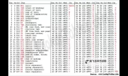 免费无忧：中文乱码字幕无线观看全攻略