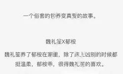 帐中香金银花海棠：繁花似锦的梦中庭园