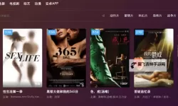 色电视剧磁力：追寻高清资源的最佳途径