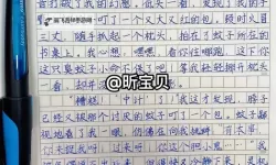 在街上他突然按了遥控器作文：意外的奇遇与启示