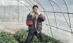 草莓视频在线无限免费观看：领略藏族文化的精彩瞬间