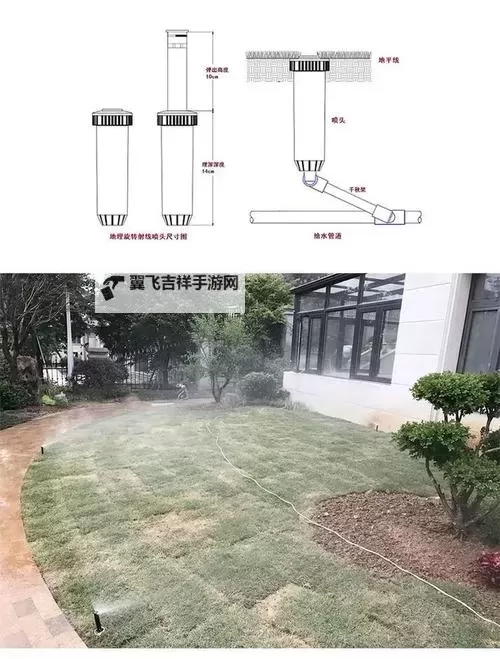 用爱把你小花园灌溉：点亮心中最美的幸福角落图1