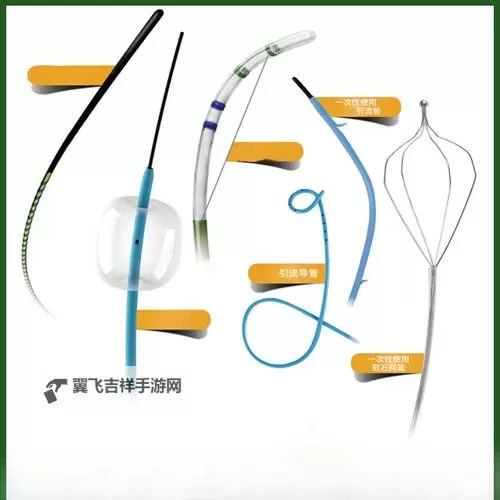 探索优质资源：国产体育生导管素材的网站推荐图1