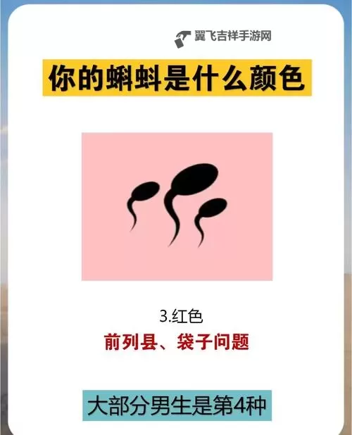 探索奇幻世界：9色在线蝌蚪的魔幻冒险之旅图1