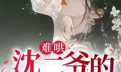 《总裁你真粗鲁全文免费阅读》完整版在线阅读，精彩不断不容错过