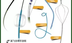 探索优质资源：国产体育生导管素材的网站推荐