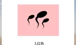 探索奇幻世界：9色在线蝌蚪的魔幻冒险之旅