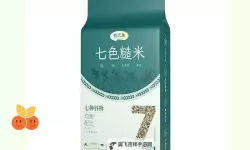 探索奇幻之旅：畅游奇米七色的缤纷世界