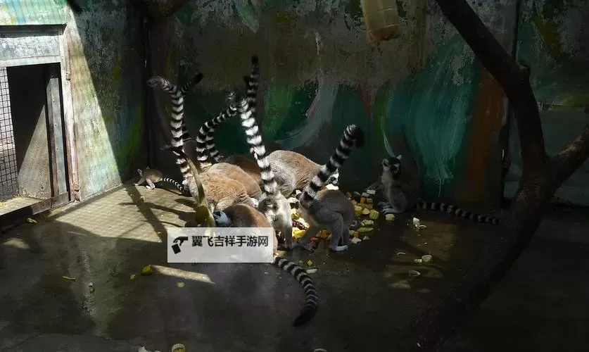 探索中国zoo的奇妙世界:动物与自然的完美邂逅图1