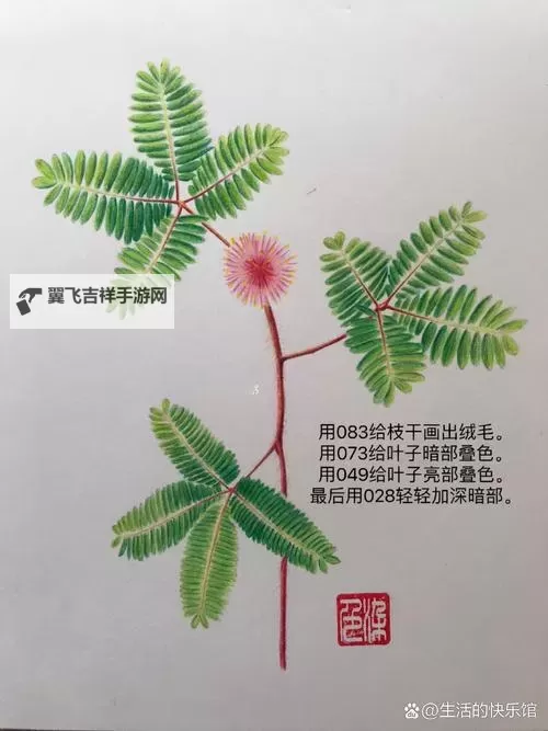《神奇的变色植物:害羞草漫画趣味揭秘》图1