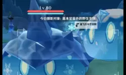 《原神》图形对抗实验录第三天拍照教学 基本呈蓝色的野生生物在哪拍