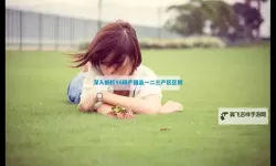 精产一二三产区在线观看不卡：畅享高清无忧体验