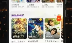 畅享二次元生活：全面解析国产宅男宅女导航攻略