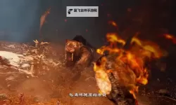 《孤岛惊魂原始杀戮》简体中文补丁怎么用 全语言补丁使用方法