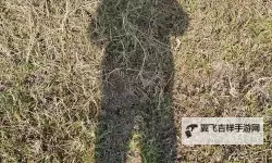 影子娱乐网揭秘：打造专属您的个性化娱乐新体验