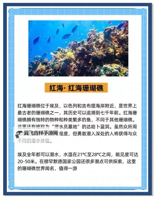 《珊瑚岛》地图要素及各区域作用介绍 珊瑚岛有什么设施图1