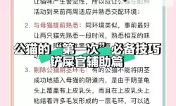 动物涨姿势电脑版下载 动物涨姿势电脑版的安装使用方法