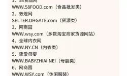 寻找性价比最高的选择：2024年最便宜的网站推荐