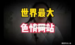 探索无限精彩！永久免费品色堂带你领略极致色彩体验