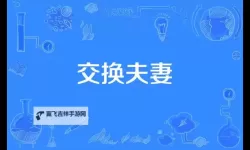 愉快的交换夫妇3中文：精彩剧情全解析与精彩片段分享