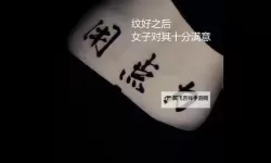 用心用力用点力快到了——追梦之路的坚持与突破