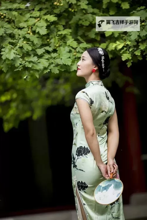 念奴娇电脑版下载 横向测评:电脑玩念奴娇模拟器推荐图2