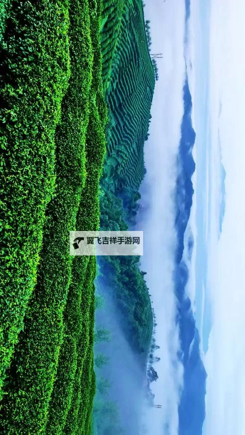 战棋三国2怎么双开 战棋三国2双开挂机软件推荐图1