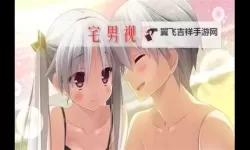 宅男午夜成年影视在线观看：最佳午夜成人影片推荐