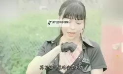 掌握中文一日韩在线：提升你的影视欣赏技巧