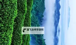 战棋三国2怎么双开  战棋三国2双开挂机软件推荐