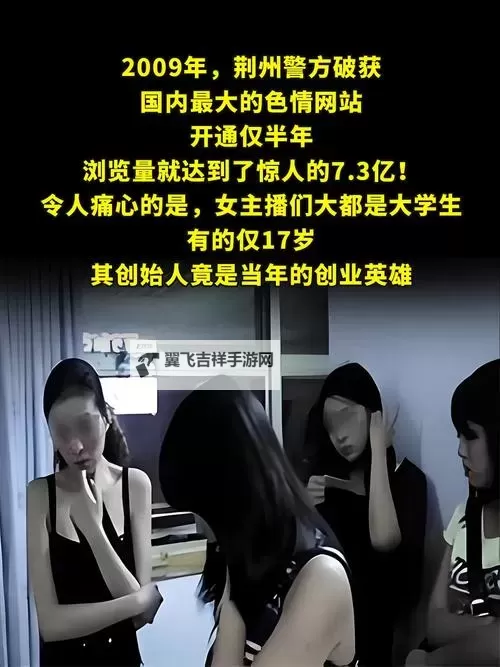 关于4438X最大的色情网站：简介与相关信息图2