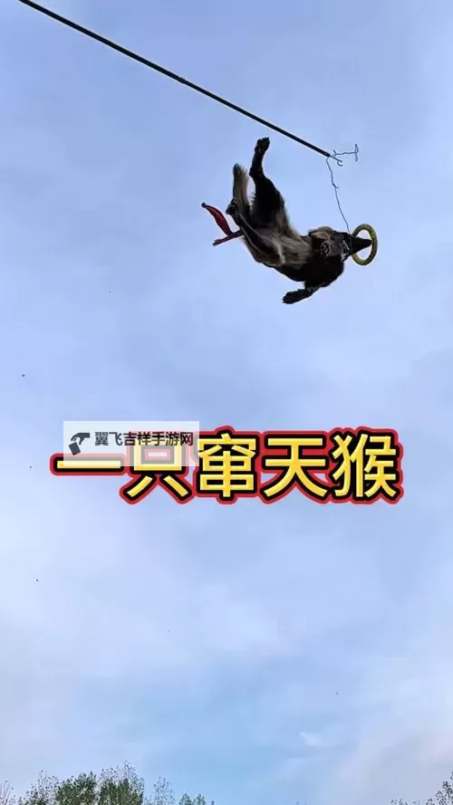 揭秘窜天猴隐藏入口:永久免费YW193.COC全面指南图1