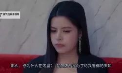 掌握影视必备的技巧：如何制作高质量的中文字幕