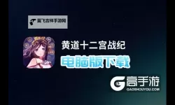 代号：幻想X如何双开 2021最新双开神器来袭