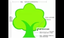 元次等术语是谁创造的：探寻概念的起源与发展