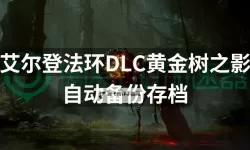 《艾尔登法环》黄金树之影DLC法师开荒攻略 DLC法师强力构筑分享