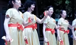 探索温馨邻里生活：天天日五月社区的美好时光