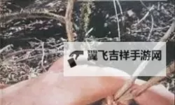优雅与成熟之美：中年妇女人体摄影的艺术魅力