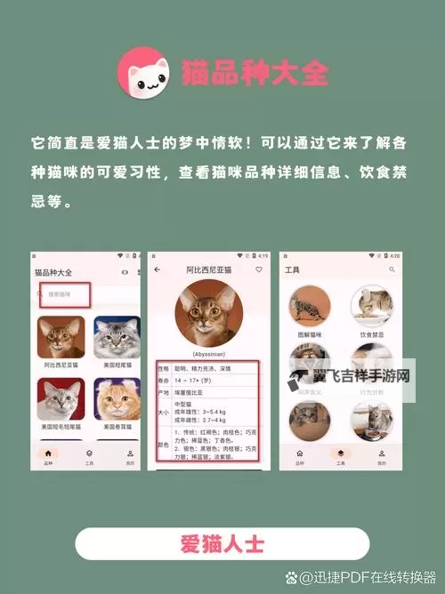 探索色猫软件：提升色彩管理与视觉体验的创新工具图1