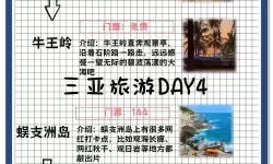 海岛大亨5 旅游业收入解析