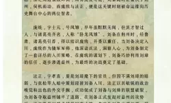 《三国群英传鸿鹄霸业》这么肉？刘姜平替——双盾流庞统攻略来袭！