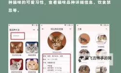 探索色猫软件：提升色彩管理与视觉体验的创新工具