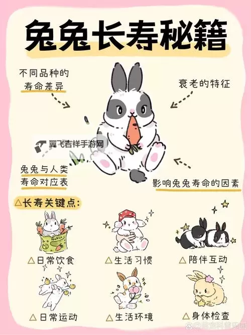 怎么喂老公吃小兔兔：打造甜蜜互动的小诀窍图2