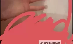 张津瑜口卫生间：保持口腔健康的关键指南