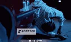 探索魅力无限：老司机午夜剧场精彩纷呈内容解析