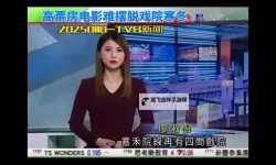 免费在线观看：中文字幕无线观看中文字幕的高清体验指南
